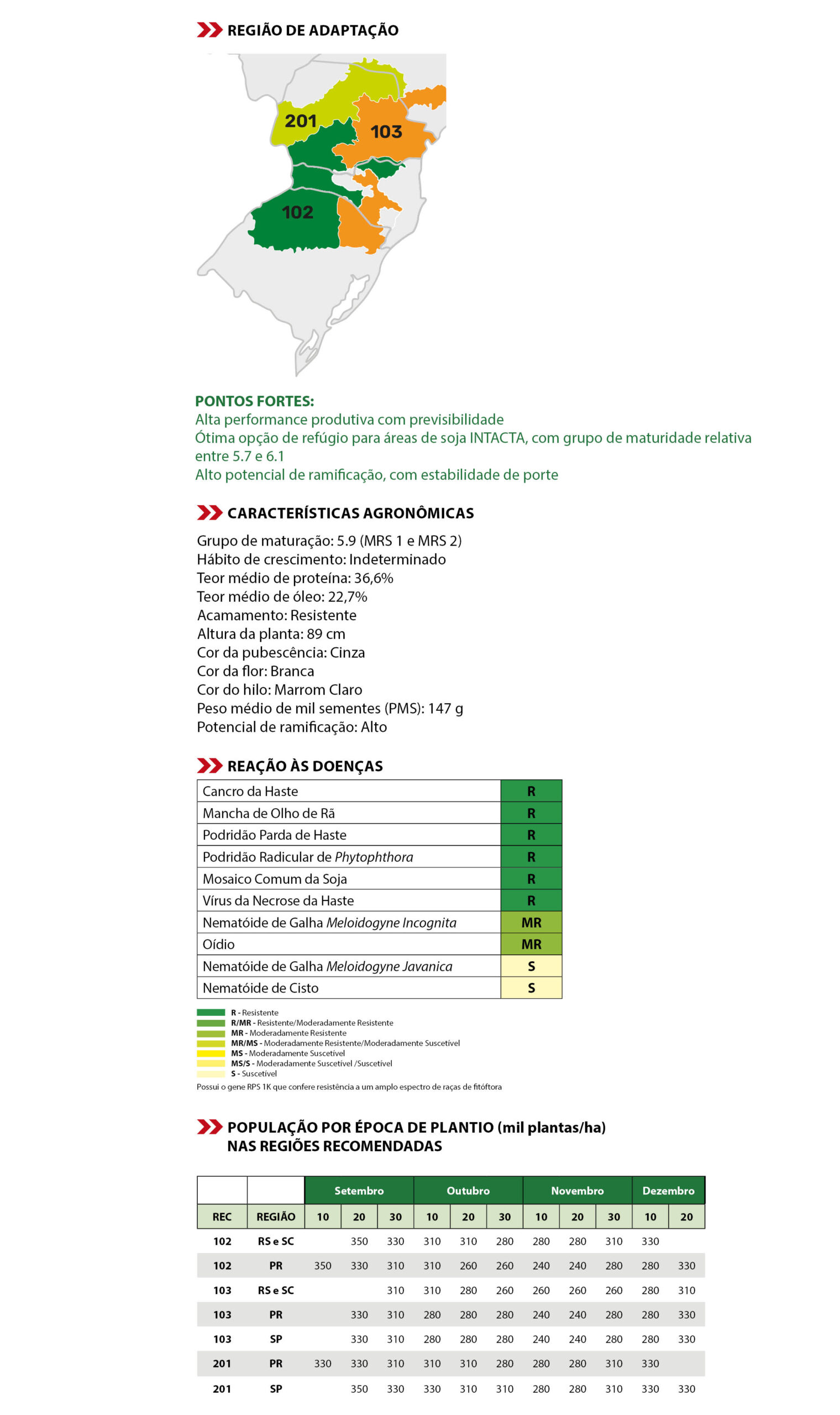 cultivar BRS 559 RR